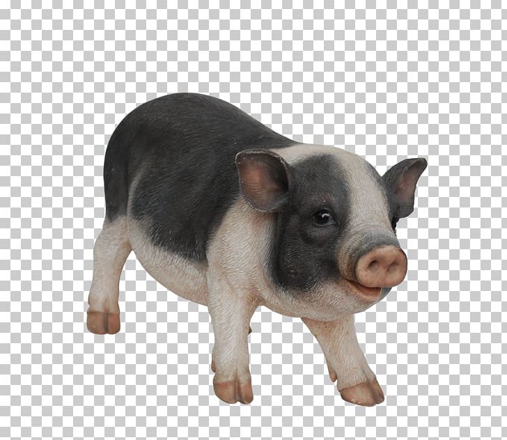 Domestic Pig Snout PNG, Clipart, Animals, Belly, Domestic Pig, Livestock, Pig Free PNG Download