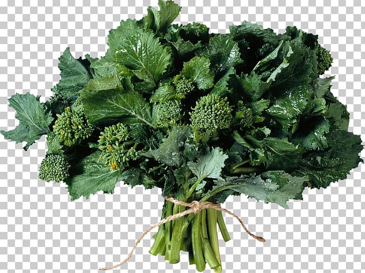 Herb Parsley Salad PNG, Clipart, Broccoli, Cabbage, Chervil, Collard Greens, Food Free PNG Download