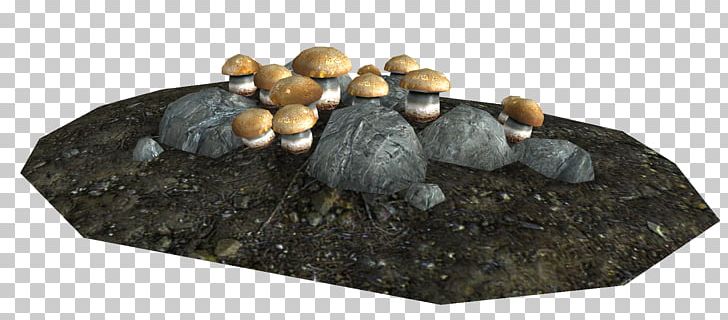 The Elder Scrolls V: Skyrim Cave Human Feces Imp PNG, Clipart, 82336, Alchemy, Appearin Co Telenor Digital As, Cave, Com Free PNG Download