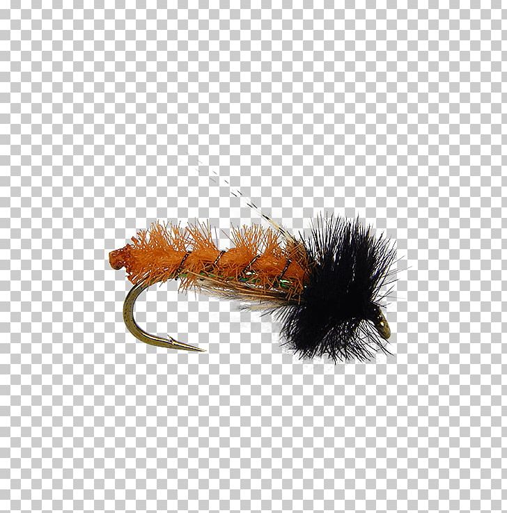 Fly Fishing Caddisfly Fly Tying Nymph Insect PNG, Clipart, Animals, Brown Trout, Caddisfly, Fishing, Fly Free PNG Download