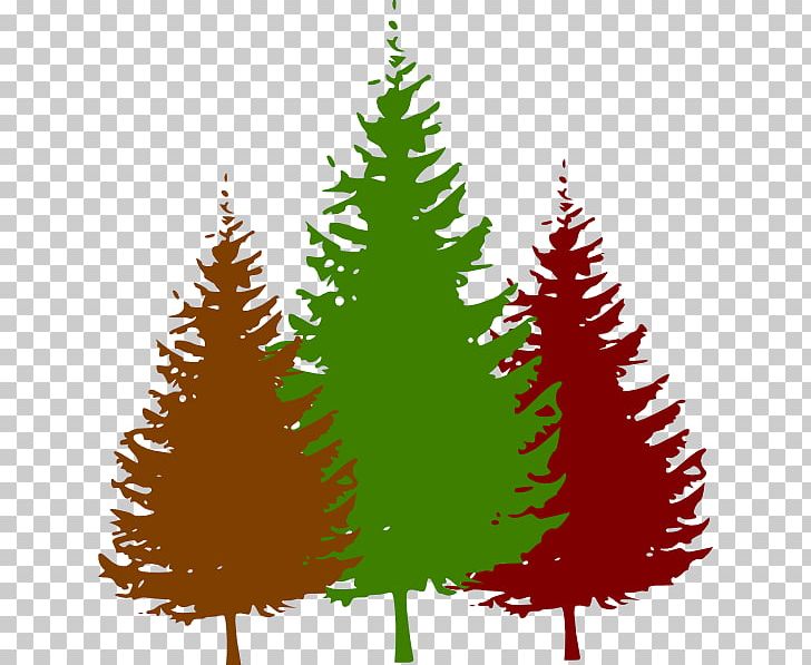 Tree Free Content PNG, Clipart, Christmas, Christmas Decoration, Christmas Ornament, Christmas Tree, Conifer Free PNG Download