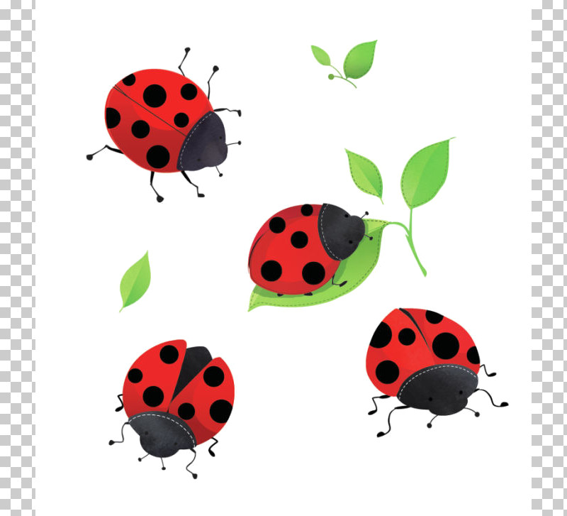 Lady Bug PNGs for Free Download