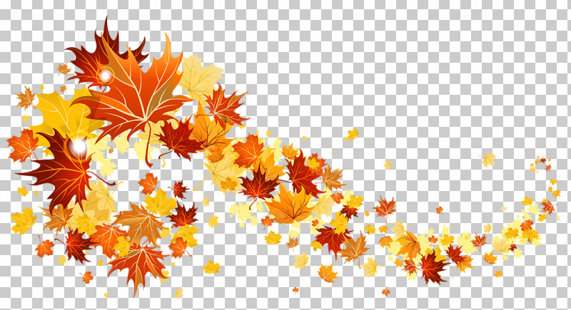 Maple Leaf PNG, Clipart, Autumn, Leaf, Maple, Maple Leaf, Orange Free PNG Download