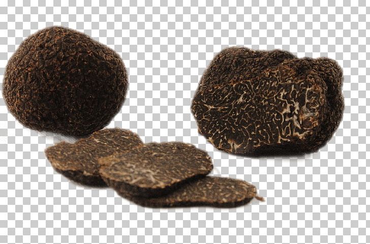 Périgord Black Truffle Piedmont White Truffle Alba Fungus PNG, Clipart, Alba, Alla, Common Hazel, English Oak, Food Free PNG Download