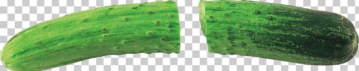 Pickled Cucumber Brined Pickles Produce PNG, Clipart, Beachbody, Brined Pickles, Business, Cucumber, Fitness Free PNG Download