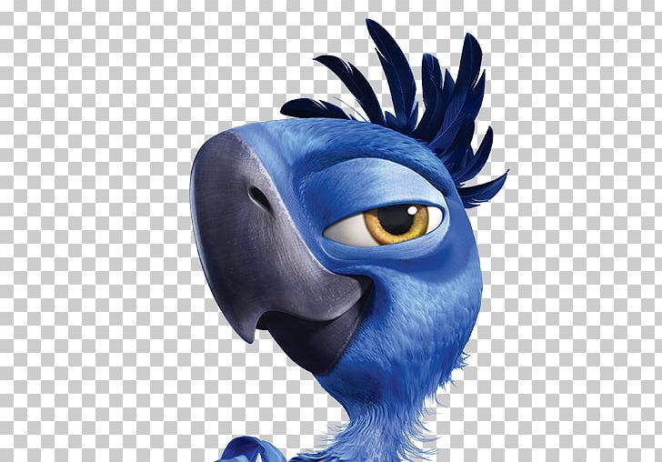 Headgear Bird Parrot Beak PNG, Clipart, Animation, Anne Hathaway, Art, Beak, Bird Free PNG Download