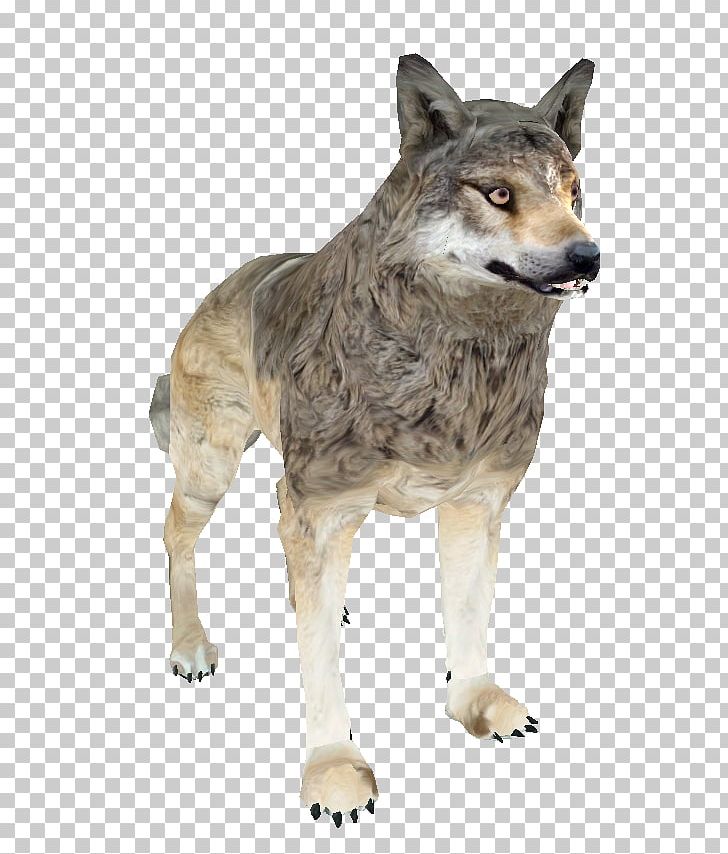 Shivering Isles Saarloos Wolfdog Czechoslovakian Wolfdog The Elder Scrolls III: Morrowind Coyote PNG, Clipart, Alaskan Tundra Wolf, Animal, Canidae, Canis Lupus Tundrarum, Carnivoran Free PNG Download