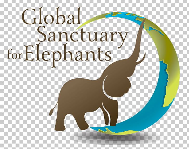 World Elephant Day World Elephant Day Dog Asian Elephant PNG, Clipart, Animals, Art, Asian Elephant, Brand, Carnivoran Free PNG Download