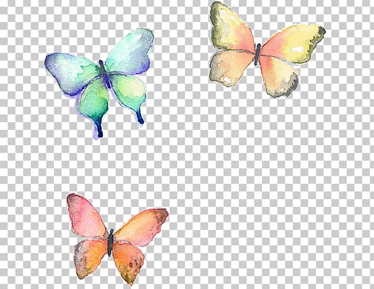 Butterfly 16K Resolution PNG, Clipart, 8k Resolution, 16k Resolution, 2017, Brush Footed Butterfly, Butterflies And Moths Free PNG Download