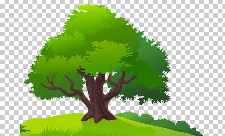 Computer Icons Tree PNG, Clipart, Biome, Branch, Computer Icons, Computer Wallpaper, Desktop Wallpaper Free PNG Download