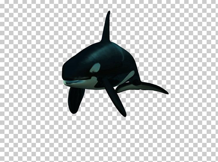Dolphin Killer Whale PhotoScape PNG, Clipart, Animaatio, Animal, Black, Blog, Cartoon Free PNG Download