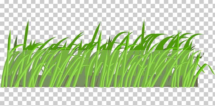 Lawn Cartoon PNG, Clipart, Cartoon, Chrysopogon Zizanioides, Comics, Commodity, Download Free PNG Download