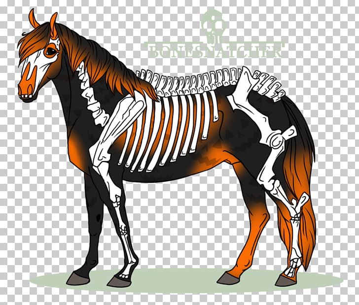 Mule Mustang Stallion Mare Quagga PNG, Clipart, Barn Yard, Bridle, Cartoon, Colt, Dog Harness Free PNG Download