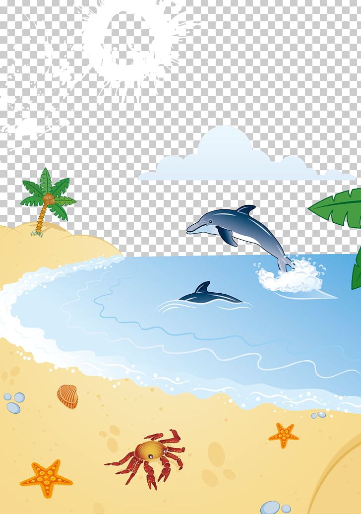 Porpoise Dolphin Coconut Arecaceae PNG, Clipart, Art, Bea, Beach Ball, Beach Party, Beach Vector Free PNG Download