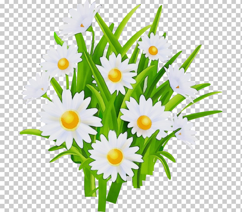 Floral Design PNG, Clipart, Biology, Chamomiles, Cut Flowers, Floral Design, Flower Free PNG Download