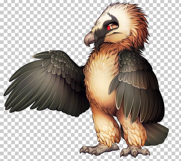Bird Of Prey Bearded Vulture Egyptian Vulture PNG, Clipart, Animal, Animals, Beak, Bearded Dragon, Bearded Vulture Free PNG Download