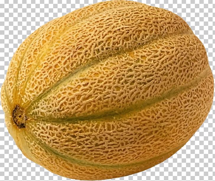 Cantaloupe 2011 United States Listeriosis Outbreak Honeydew Watermelon PNG, Clipart, Commodity, Cucumber Gourd And Melon Family, Cucumis, Delicious, Fishing Net Free PNG Download