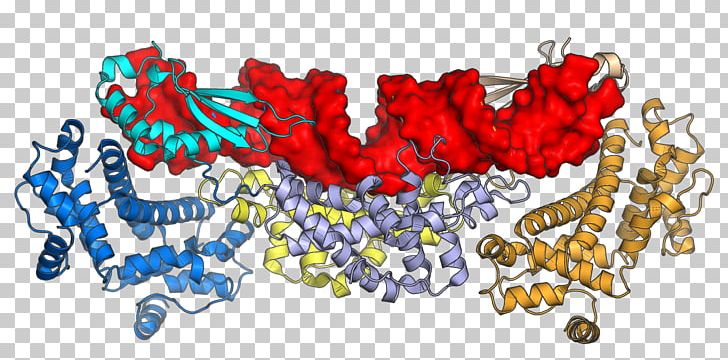 Ribonuclease III Double-stranded RNA Viruses Dimer Body Jewellery PNG, Clipart, Art, Body Jewellery, Body Jewelry, Dimer, Doublestranded Rna Viruses Free PNG Download