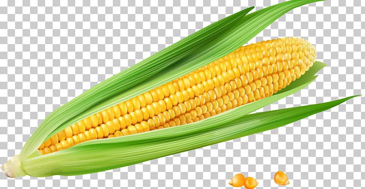 Corn On The Cob Maize Euclidean Vecteur PNG, Clipart, Corn, Corn Kernels, Food, Food Grain, Fruit Free PNG Download