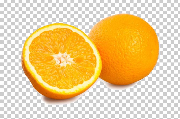Orange Juice Tangelo Mandarin Orange PNG, Clipart, Berry, Bitter Orange, Citric Acid, Citron, Citrus Free PNG Download