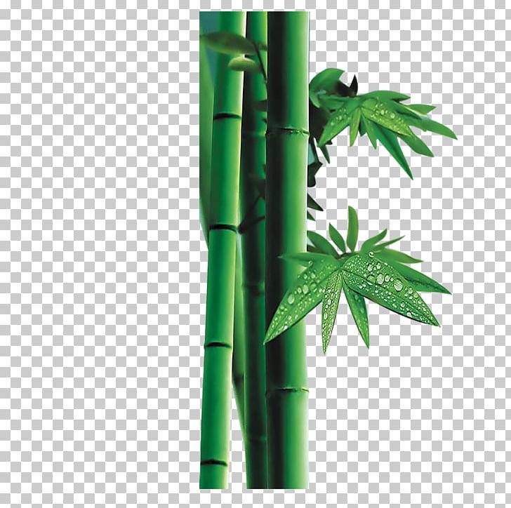 Zongzi Dragon Boat Festival U7aefu5348 Bamboo PNG, Clipart, Bamboe, Bamboo, Bamboo Border, Bamboo Frame, Bamboo Leaf Free PNG Download