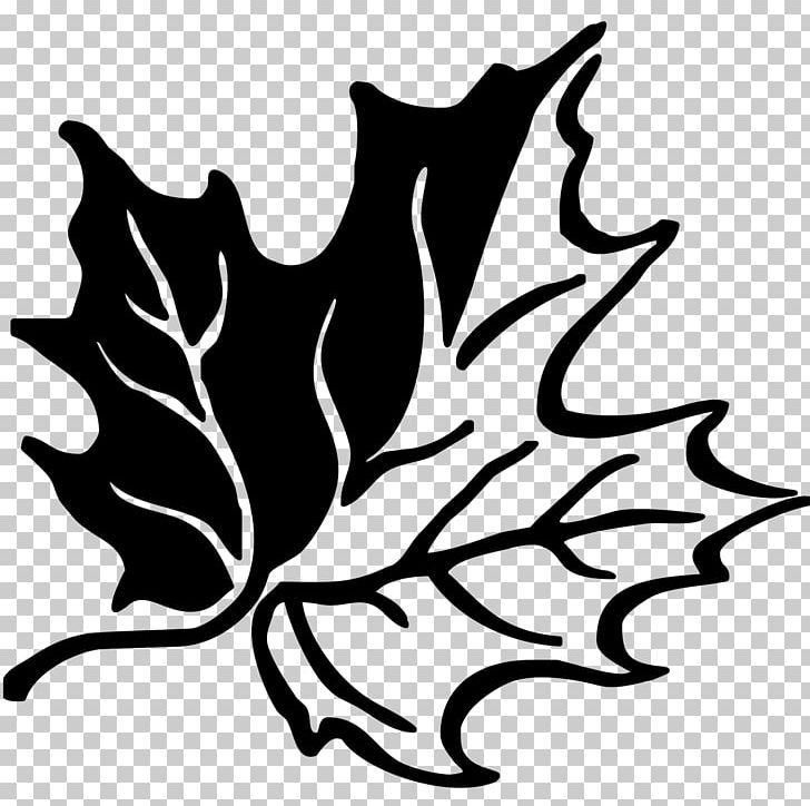 Canadian Gold Maple Leaf Template Canada PNG, Clipart, Artwork, Black And White, Branch, Canada, Canadian Gold Maple Leaf Free PNG Download