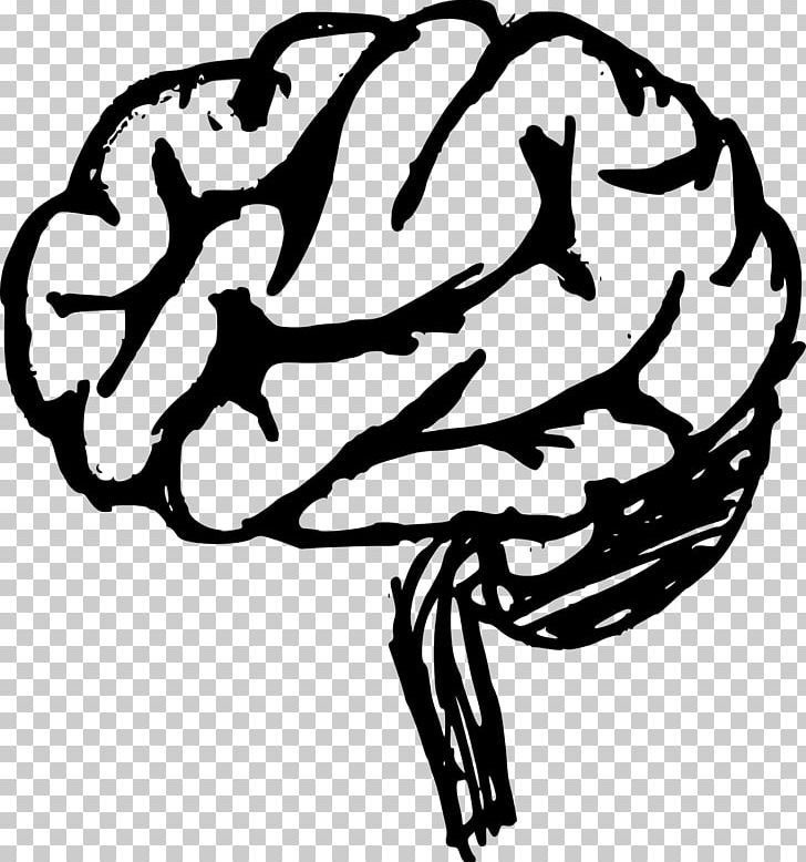 Human Brain Drawing PNG, Clipart, Art, Artwork, Black And White, Brain, Branch Free PNG Download