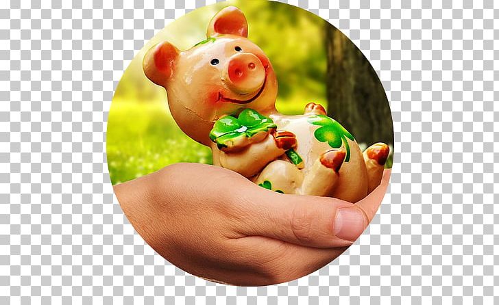 Luck Piglet Figurine Information PNG, Clipart, Christmas Ornament, Desktop Wallpaper, Eating, Figurine, Finger Free PNG Download
