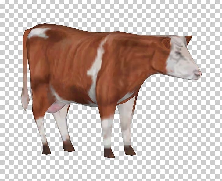 Zoo Tycoon 2 White Park Cattle Holstein Friesian Cattle Zebu Goat PNG, Clipart, Animal, Animals, Bovinae, Calf, Cattle Free PNG Download