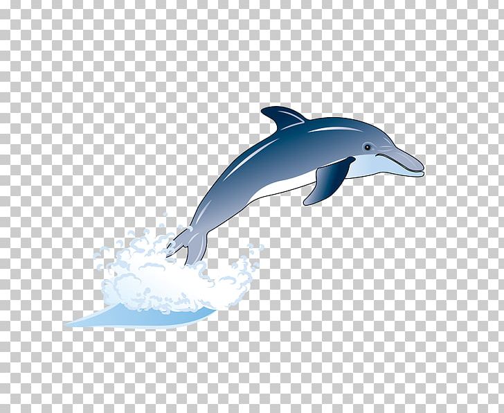 Wholphin Common Bottlenose Dolphin Short-beaked Common Dolphin Tucuxi Rough-toothed Dolphin PNG, Clipart, Animals, Blue, Common Bottlenose Dolphin, Cute Dolphin, Dolphine Free PNG Download