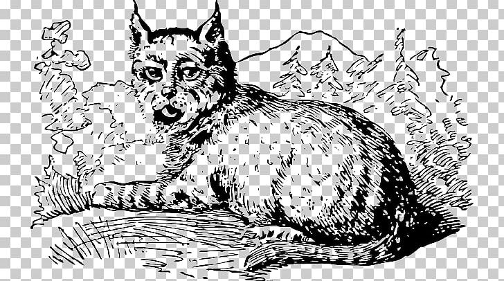 Wildcat Whiskers Eurasian Lynx PNG, Clipart, Art, Bird, Carnivoran, Cartoon, Cat Like Mammal Free PNG Download
