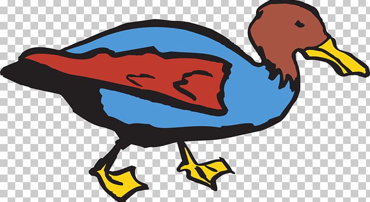 Duck Bird Mallard PNG, Clipart, Animals, Artwork, Beak, Bird, Color Free PNG Download