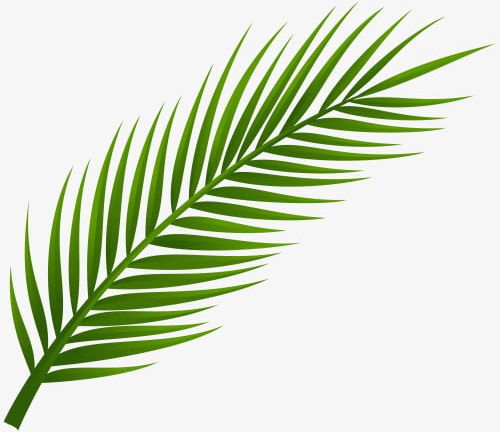 Exotic Palm Leaf Buckle-free Material PNG, Clipart, Buckle Free Clipart, Buckle Free Clipart, Environmental, Environmental Protection, Exotic Clipart Free PNG Download