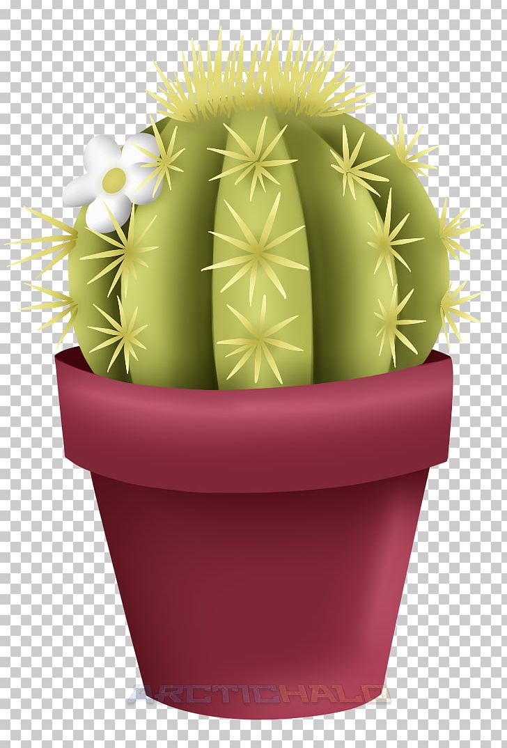 Flowerpot Strawberry Hedgehog Cactus Cactaceae PNG, Clipart, Cactaceae, Cactus, Caryophyllales, Flower, Flowering Plant Free PNG Download
