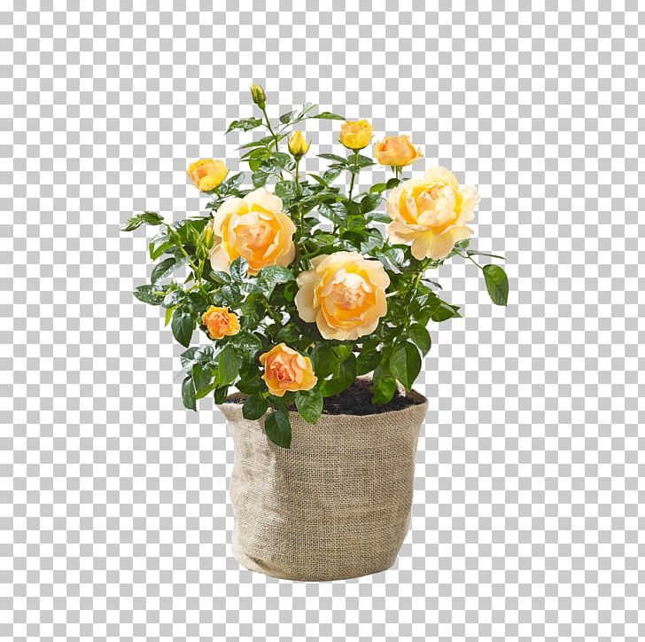 Garden Roses Floral Design Cut Flowers Flowerpot PNG, Clipart, Artificial Flower, Cut Flowers, Floral Design, Floristry, Flower Free PNG Download