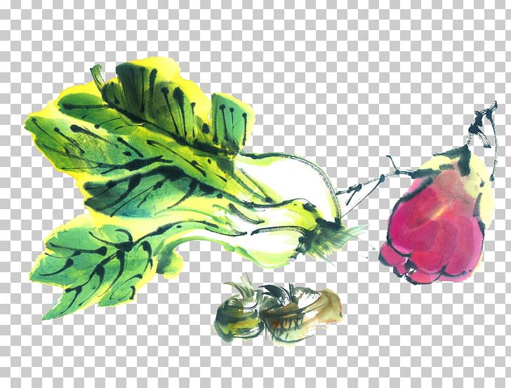 Ink Wash Painting Vegetable Watercolor Painting PNG, Clipart, Auglis, Birdandflower Painting, Cabbage, Chinese, Chinese Cabbage Free PNG Download
