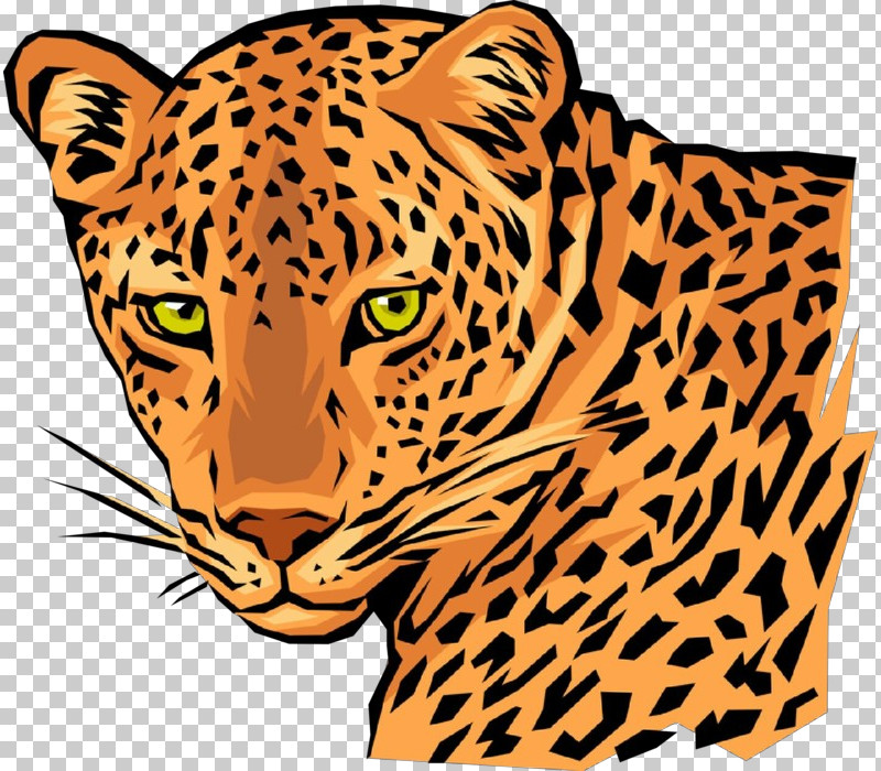 Wildlife Whiskers African Leopard Leopard Head PNG, Clipart, African Leopard, Head, Leopard, Whiskers, Wildlife Free PNG Download