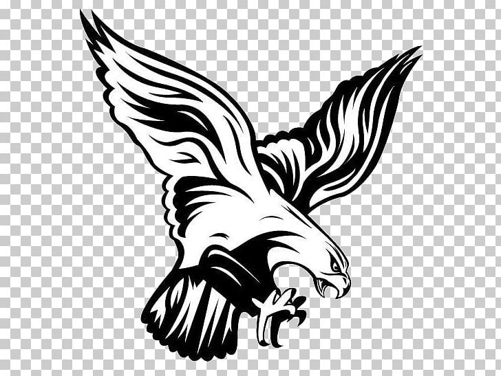Atlanta Falcons Flambeau Junior High School Philadelphia Eagles Flambeau High School Chippewa Falls PNG, Clipart, Bird, Black, Captain, Carnivoran, Chicken Free PNG Download