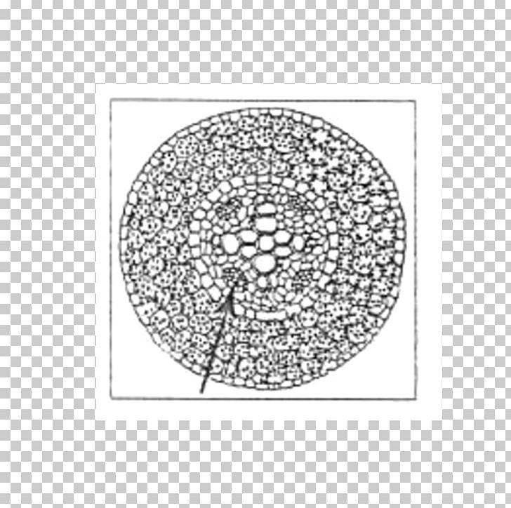 Circle Point Line Art White Font PNG, Clipart, Akar, Area, Bab, Black And White, Circle Free PNG Download