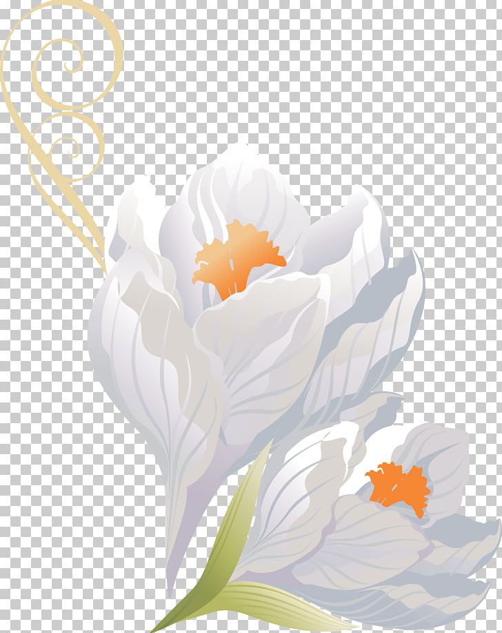 Flower PhotoScape PNG, Clipart, Animation, Computer Wallpaper, Crocus, Desktop Wallpaper, Floral Design Free PNG Download