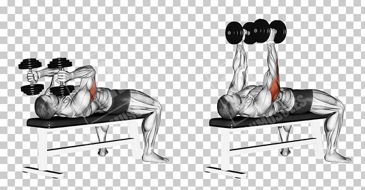 Lying Triceps Extensions Dumbbell Exercise Triceps Brachii Muscle Biceps Curl PNG, Clipart, Angle, Arm, Barbell, Bench, Biceps Free PNG Download