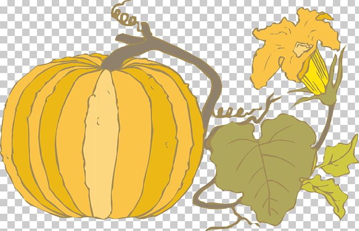 Pumpkin Calabaza Gourd PNG, Clipart, 360 Degree Rotation, Food, Fruit, Gourd, Happy Birthday Vector Images Free PNG Download