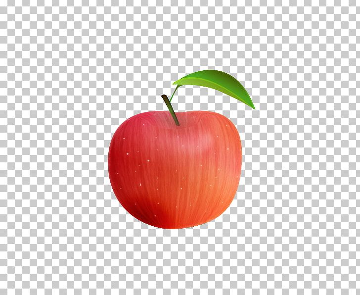 Apple Fuji PNG, Clipart, Adobe Illustrator, Apple, Apple Fruit, Apple Logo, Apples Free PNG Download