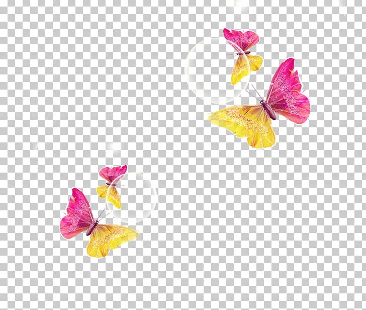 Butterfly PNG, Clipart, Art, Bright, Bubble, Butterfly, Color Free PNG Download