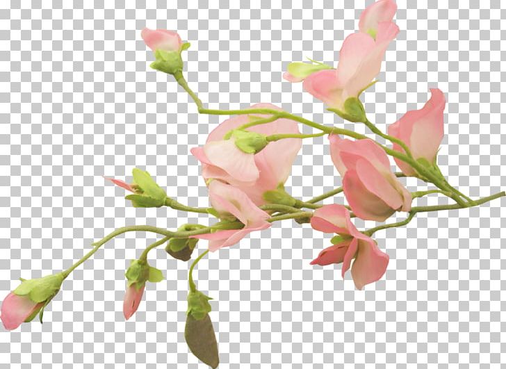 Cut Flowers Floral Design Bud Plant Stem PNG, Clipart, 2017, Bear, Bird, Blog, Blossom Free PNG Download