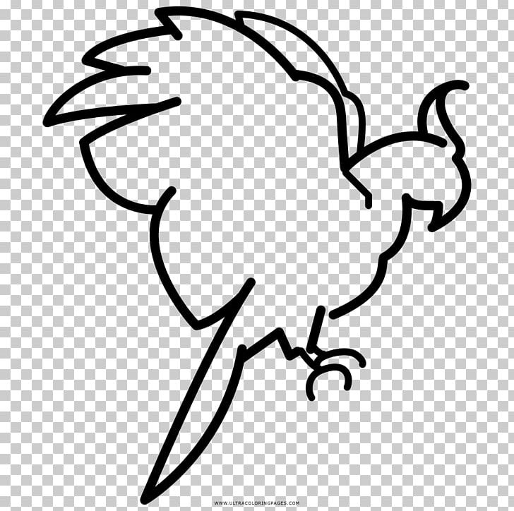 Parrot Coloring Book Black And White Drawing PNG, Clipart, Animals, Art, Artwork, Beak, Bird Free PNG Download
