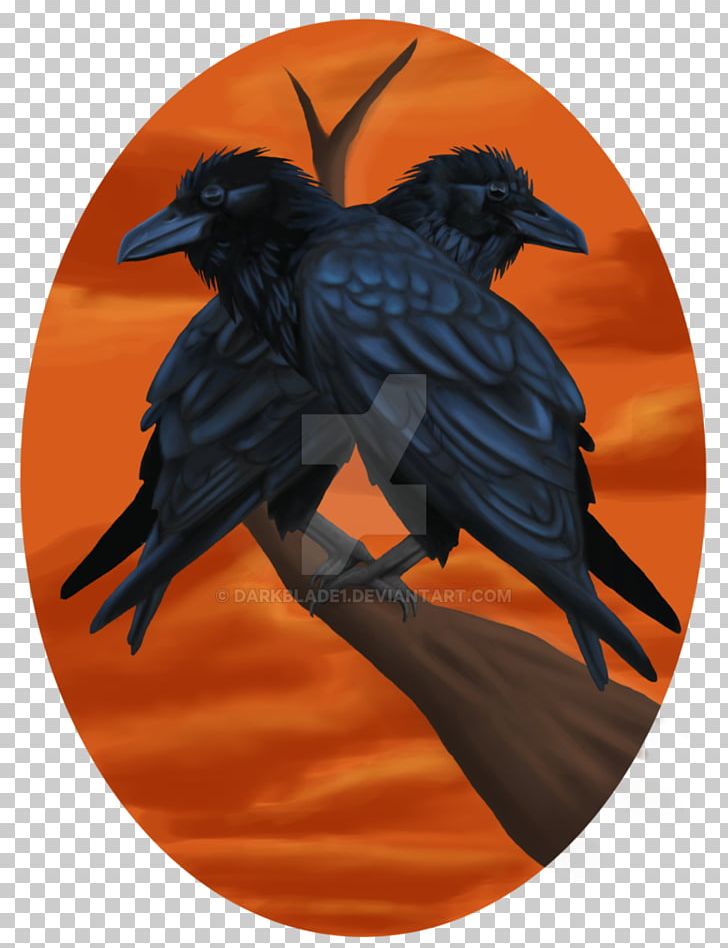 Beak Common Raven PNG, Clipart, Beak, Bird, Common Raven, Crow, Crow Like Bird Free PNG Download