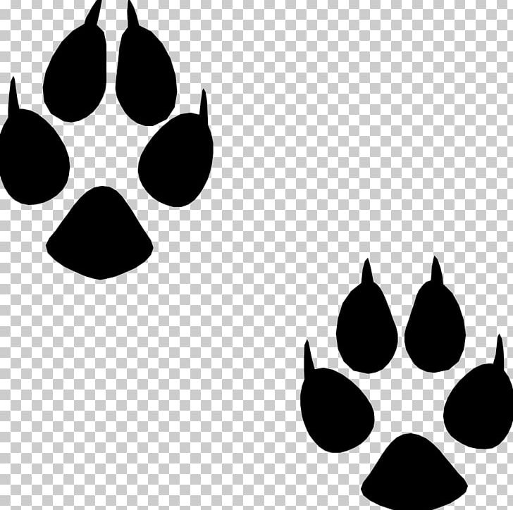 Dog Puppy Cat Footprint Animal Track PNG, Clipart, Animal, Animals, Animal Track, Badger, Black Free PNG Download