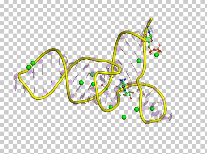 Messenger RNA Riboswitch Polyadenylation Regulatory Sequence PNG, Clipart, 3 D, Adenine, Area, Art, Circle Free PNG Download