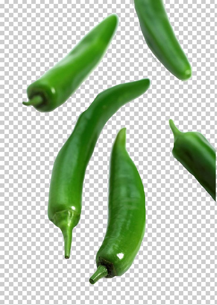 Serrano Pepper Birds Eye Chili Jalapexf1o Bell Pepper Cayenne Pepper PNG, Clipart, Bell Peppers And Chili Peppers, Birds Eye Chili, Capsicum, Capsicum Annuum, Chili Pepper Free PNG Download